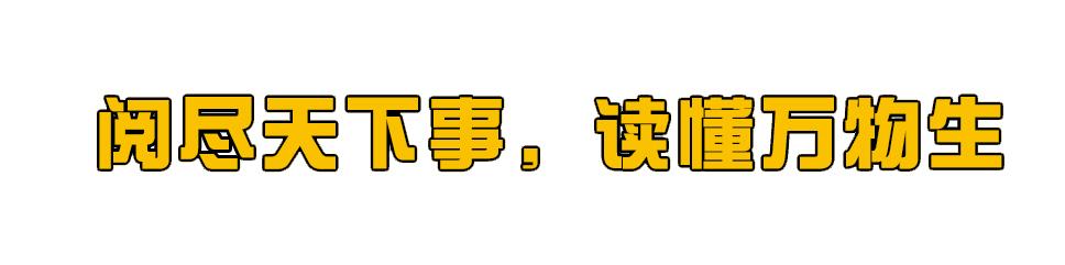 在日本人眼中，中国颜值最高的＂9大美女＂，日本人审美有多高？