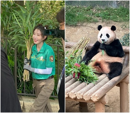 组图：BOA成为“福宝”一日经纪人 化浓妆接触大熊猫