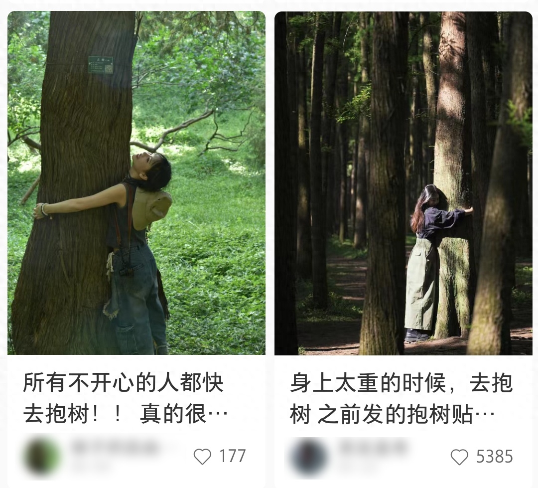 上海各大公园被占领！这届年轻人开始流行这样解压→