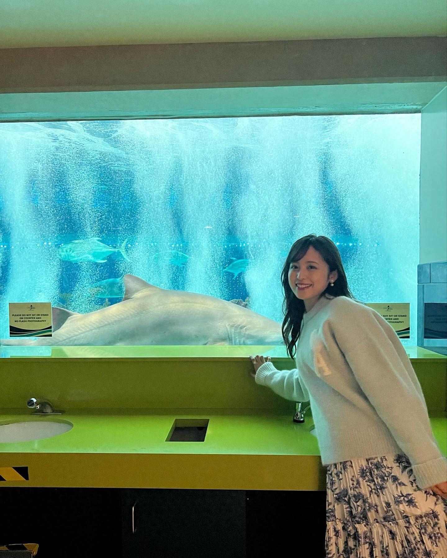 跟着丈夫游遍美国!渡边妻子晒亚利桑那水族馆 WC里竟能看到大鲨鱼
